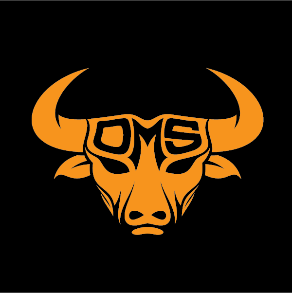 Car Transfer Sticker - Orange Bull